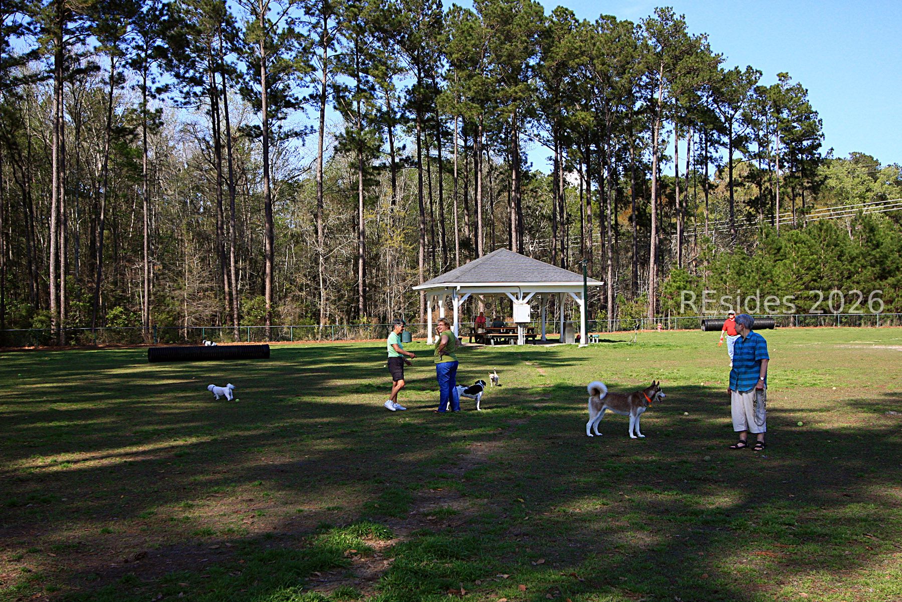 36 Reedy Place Bluffton, SC 29909 - Photo 57 of 57