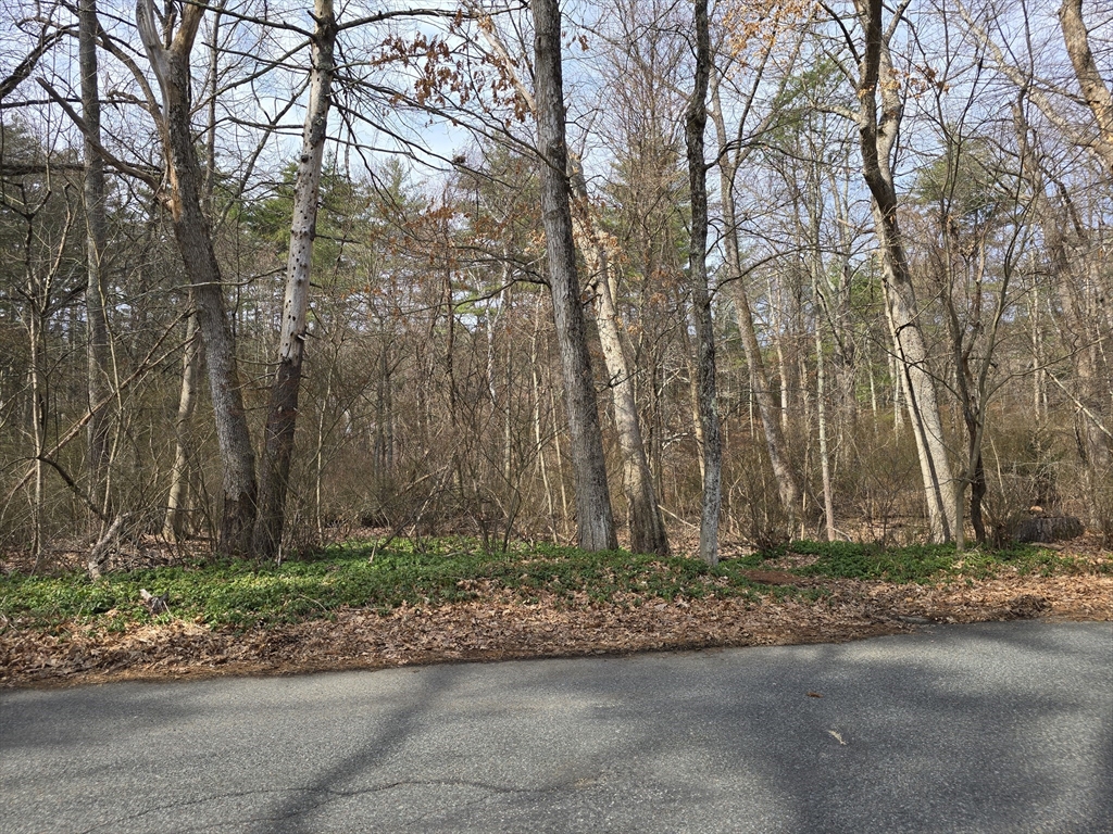 0 Beaver Road Ware, MA 01082 - Photo 1 of 6