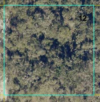 12146 Southwest 41st Way Webster, FL 33597 - Photo 1 of 2 a view of a dry yard