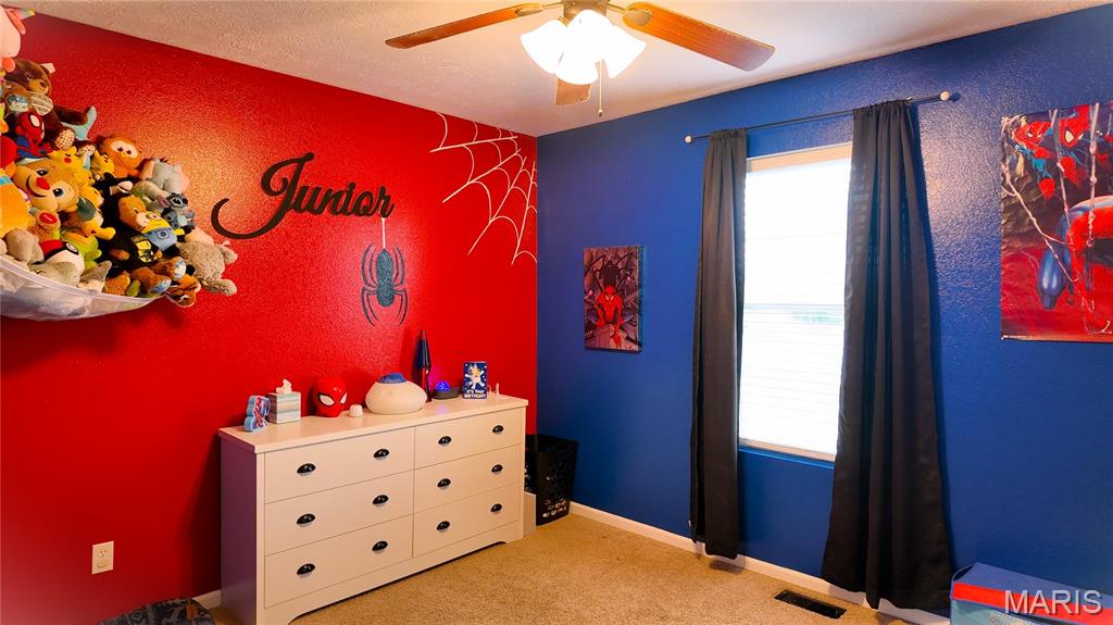 231 Zeigenbein Road St. Robert, MO 65584 - Photo 18 of 27