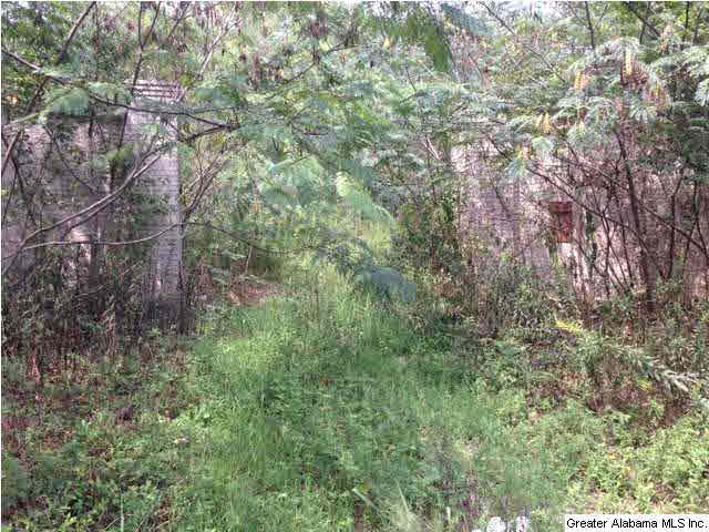 831 Old Grants Mill Road Birmingham, AL 35210 - Photo 3 of 4