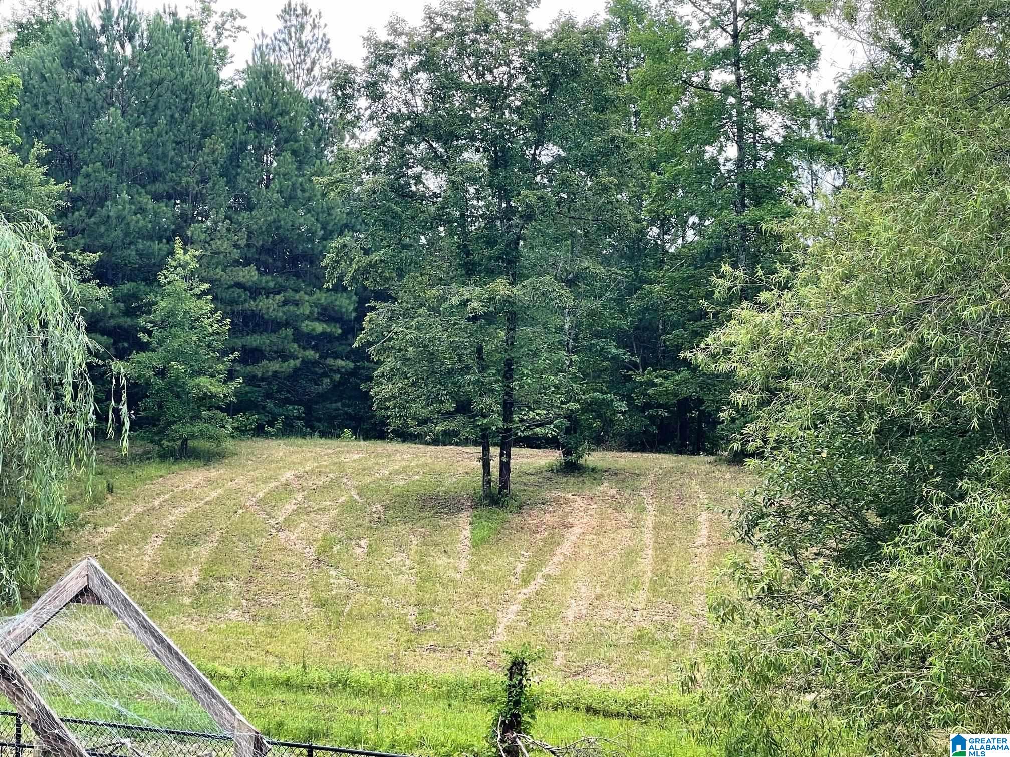 3014 Deavers Town Road Cleveland, AL 35049 - Photo 21 of 25