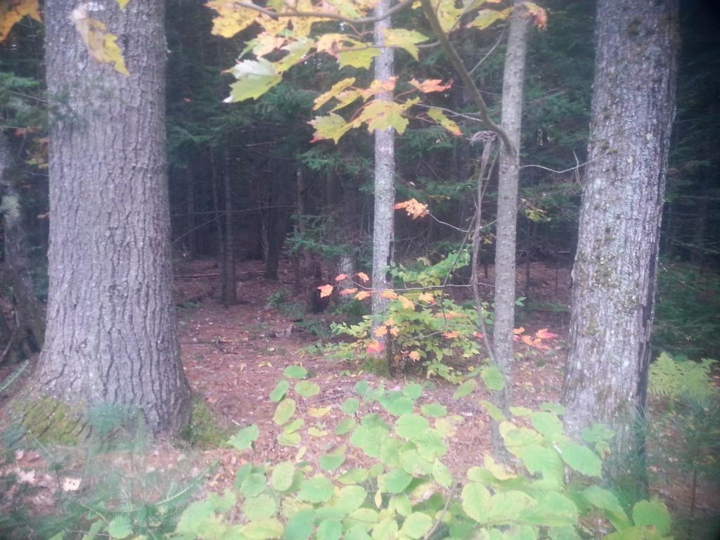 428 Williams Road Newport, ME 04953 - Photo 10 of 30 Photo