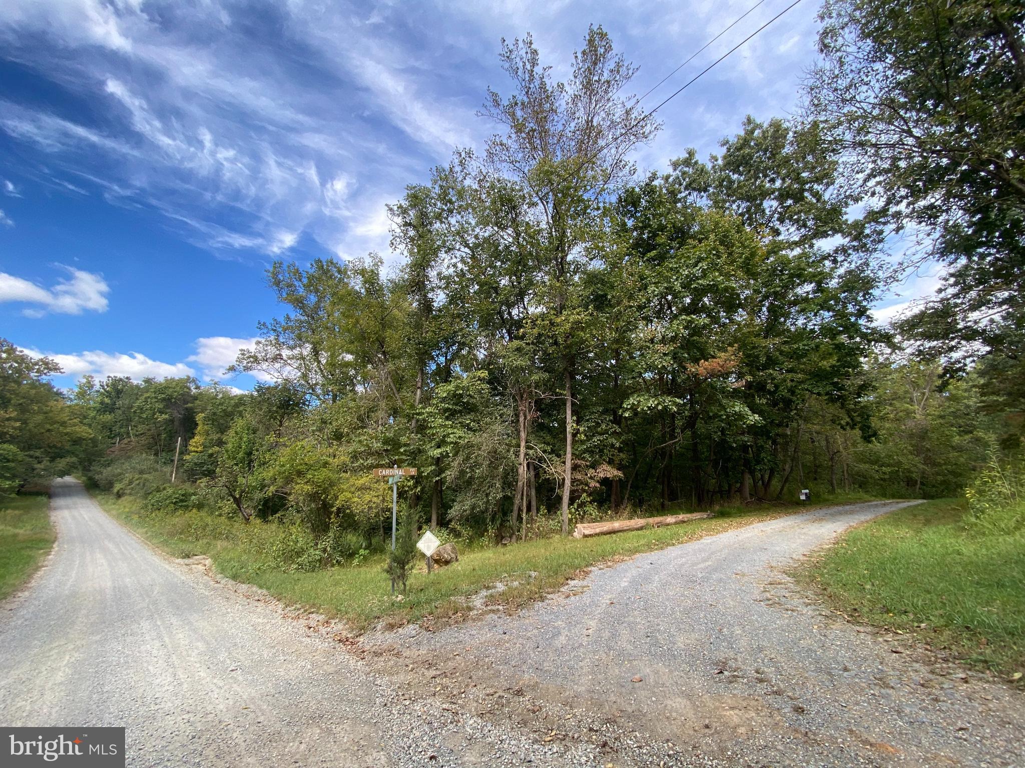 Corner of Cardinal and Calmes Neck