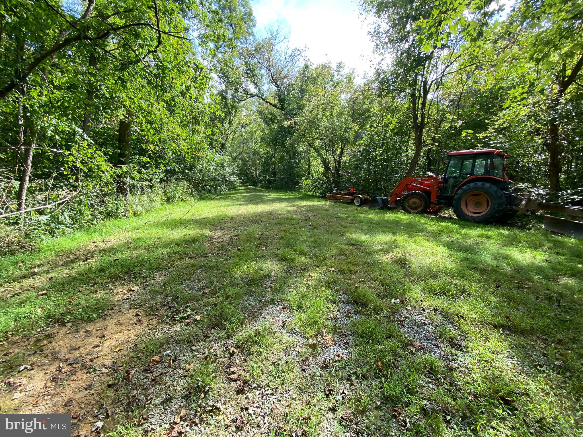 0 Cardinal Lane Boyce, VA 22620 - Photo 11 of 40 Down the lane