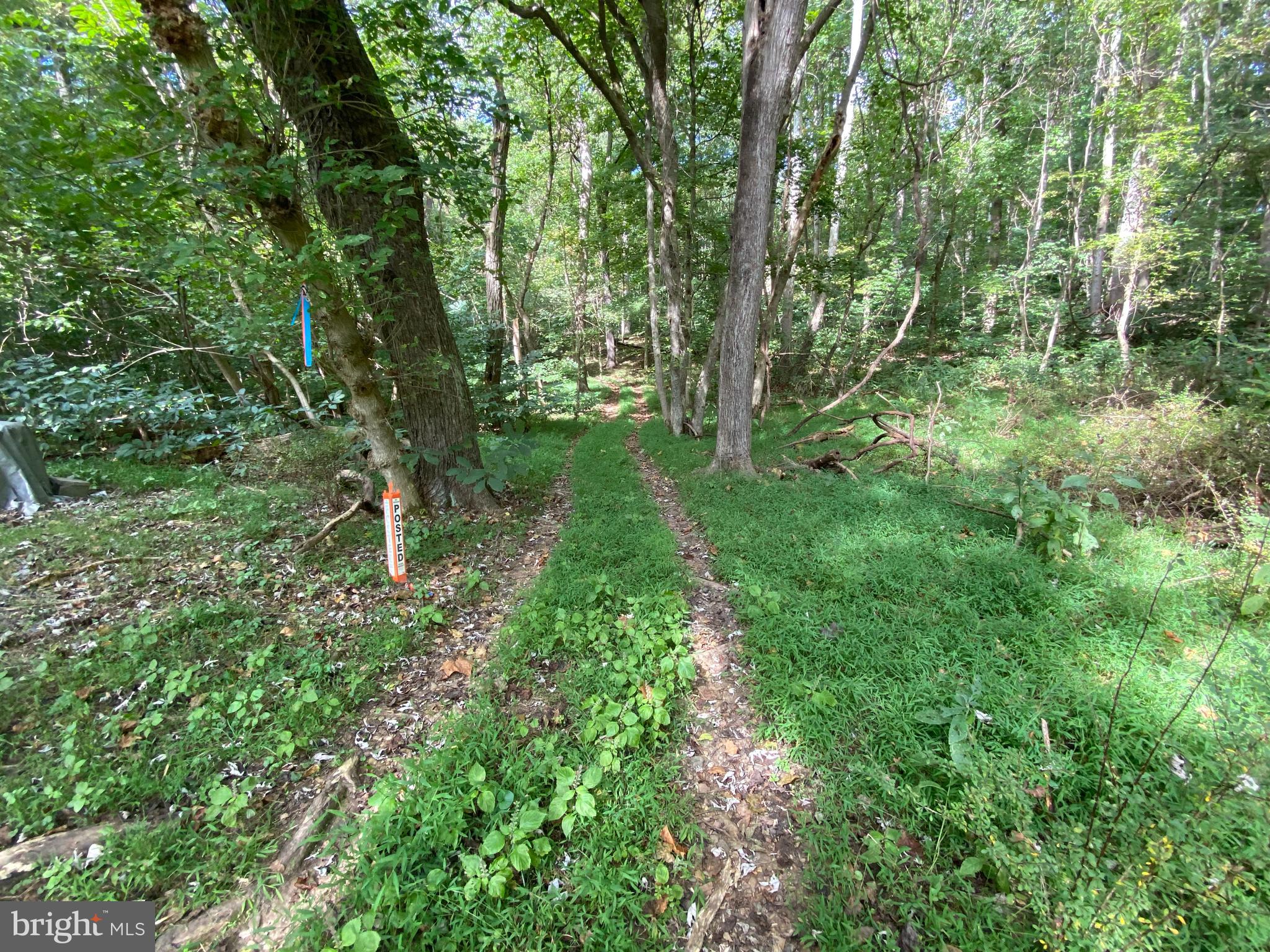 0 Cardinal Lane Boyce, VA 22620 - Photo 12 of 40 Down the lane
