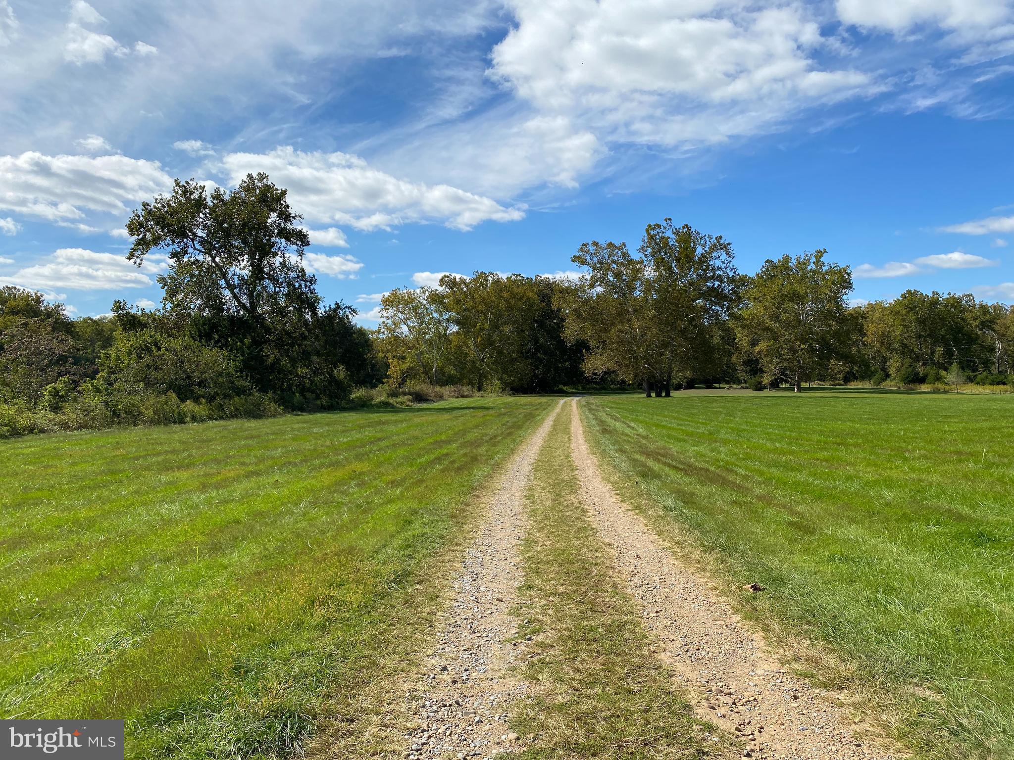 0 Cardinal Lane Boyce, VA 22620 - Photo 14 of 40 Road to Community Lot