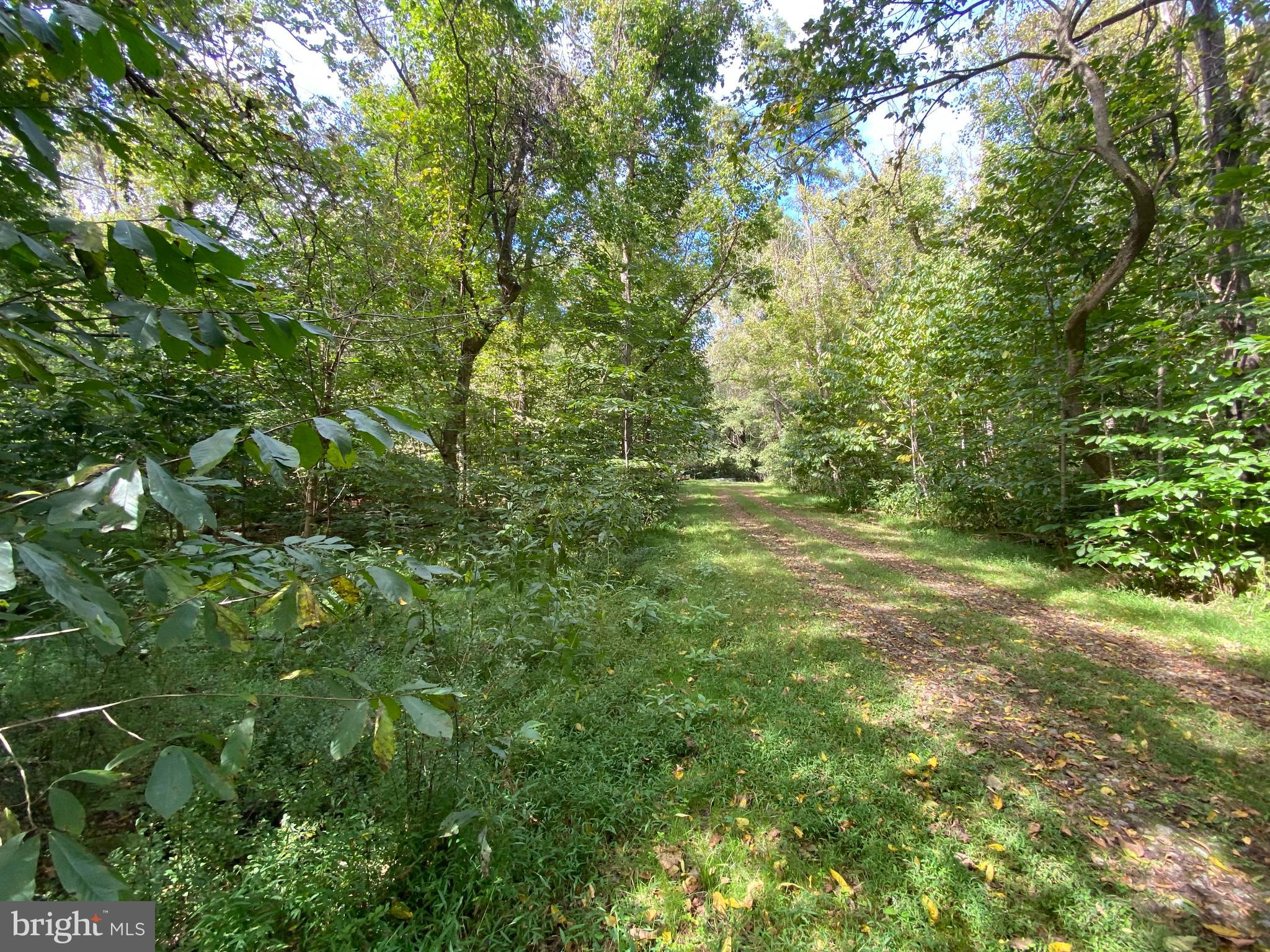 0 Cardinal Lane Boyce, VA 22620 - Photo 2 of 40 Pictures of the lane