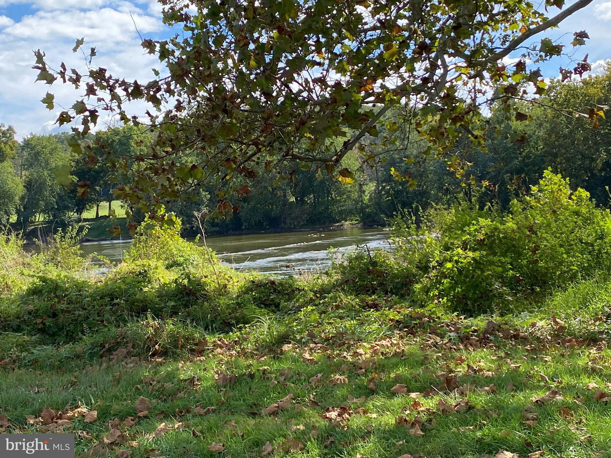 0 Cardinal Lane Boyce, VA 22620 - Photo 23 of 40 River