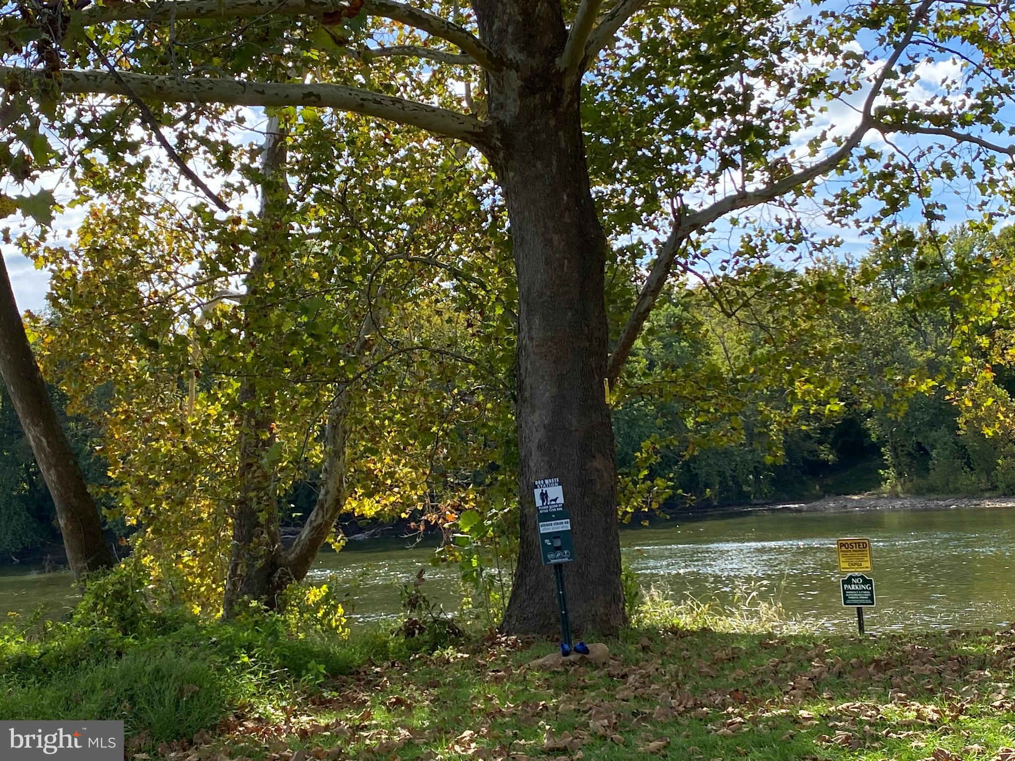 0 Cardinal Lane Boyce, VA 22620 - Photo 24 of 40 Access to river