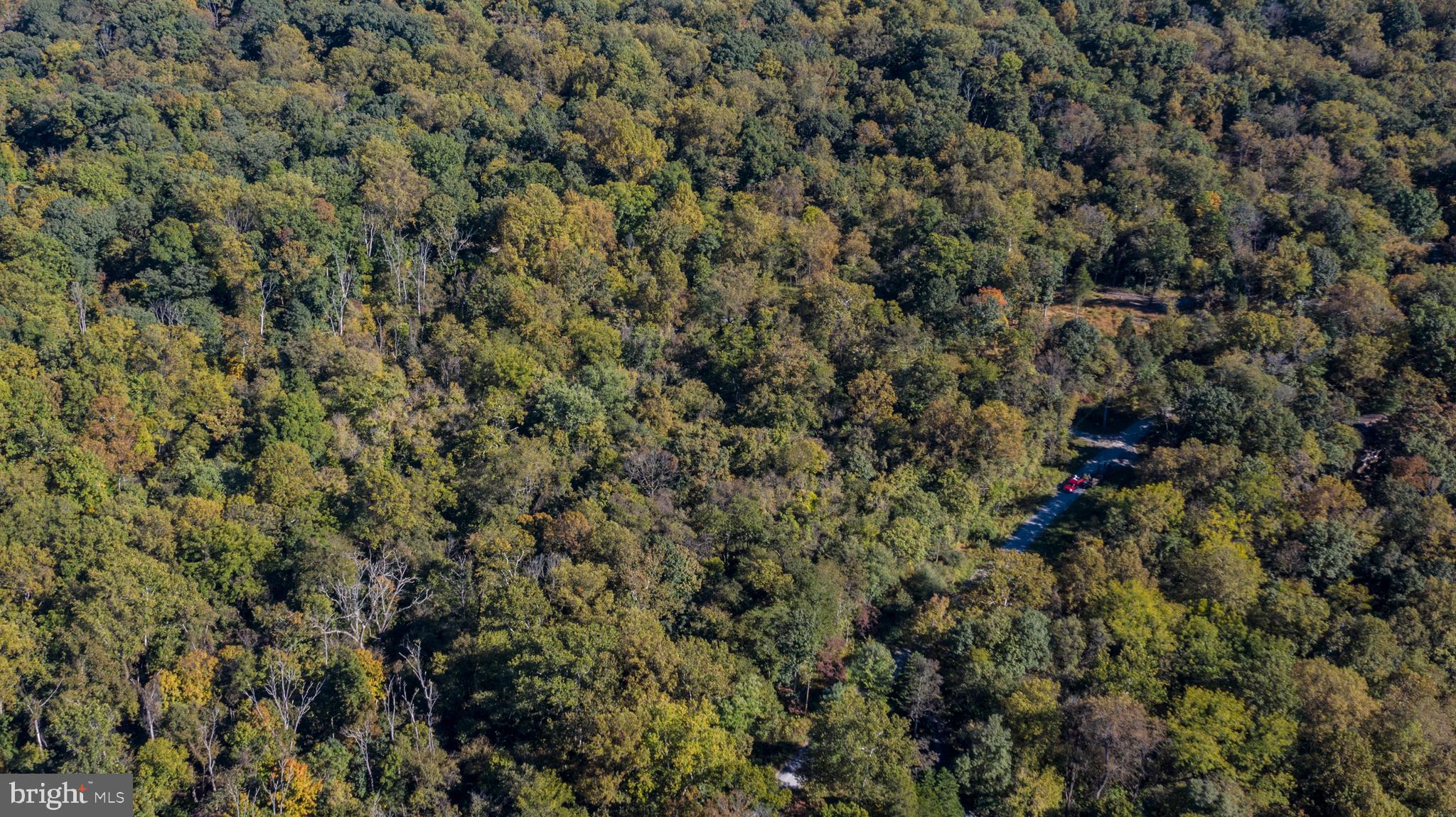 0 Cardinal Lane Boyce, VA 22620 - Photo 36 of 40