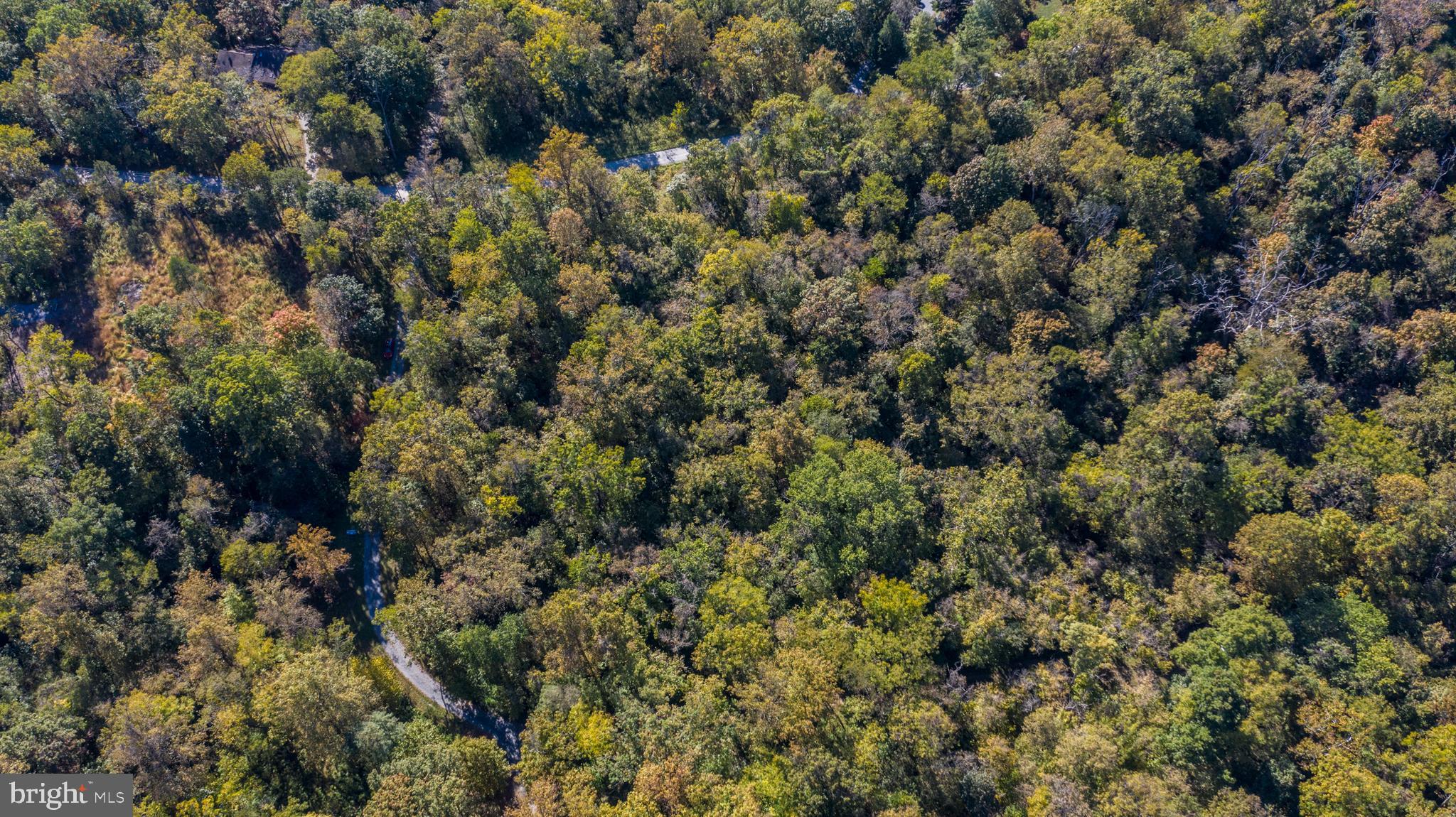 0 Cardinal Lane Boyce, VA 22620 - Photo 38 of 40