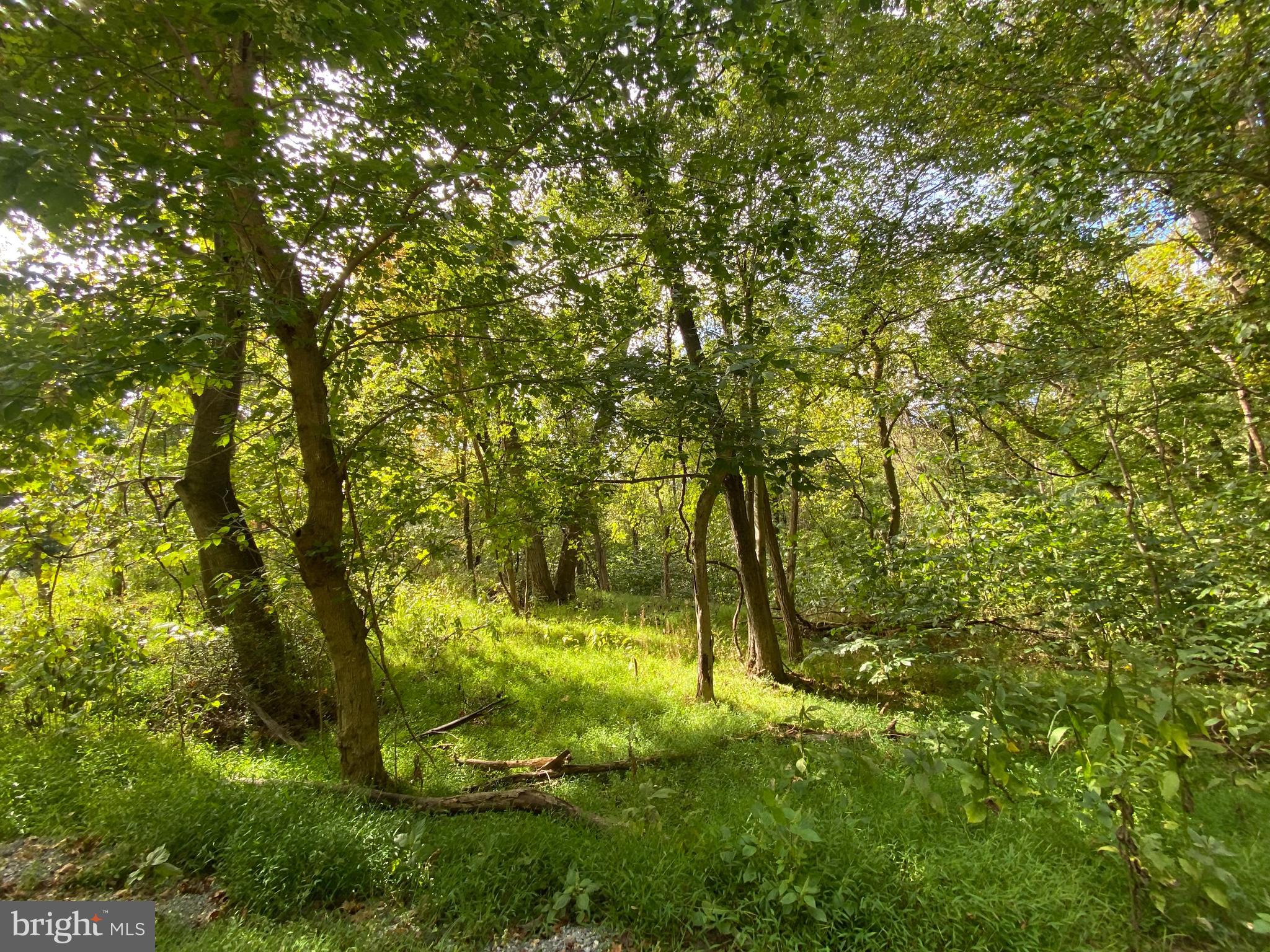 0 Cardinal Lane Boyce, VA 22620 - Photo 4 of 40 Lot