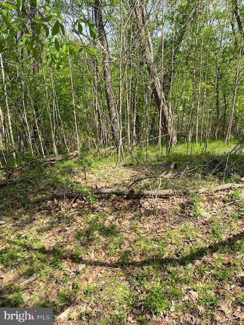 0 Cardinal Lane Boyce, VA 22620 - Photo 5 of 40 This is a beautiful wooded lot with 2 areas and gr