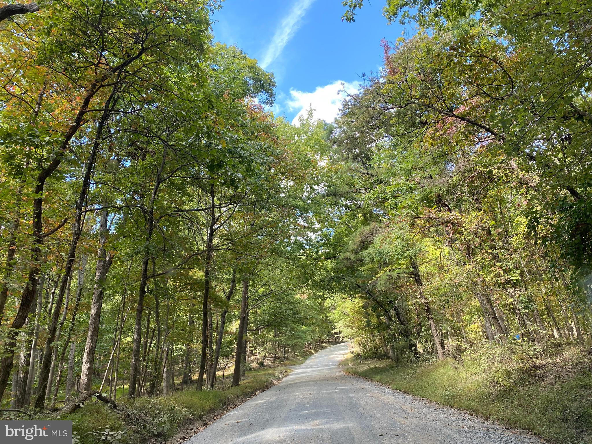 0 Cardinal Lane Boyce, VA 22620 - Photo 6 of 40 Drive up to property