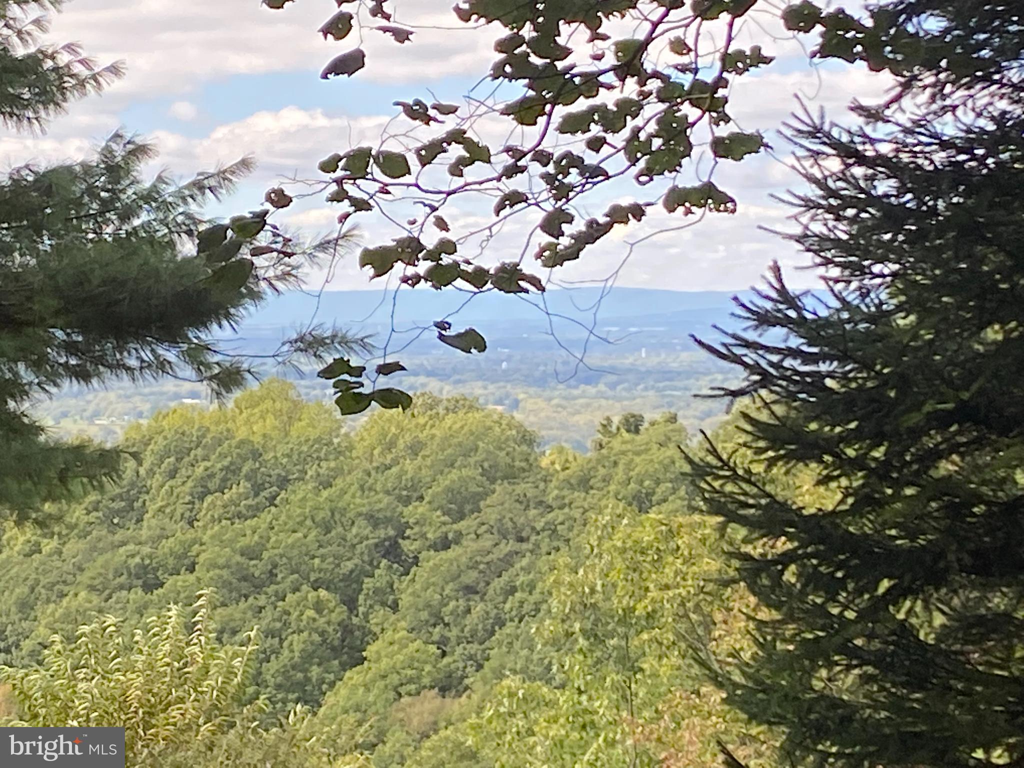 0 Cardinal Lane Boyce, VA 22620 - Photo 10 of 40 Views on the way