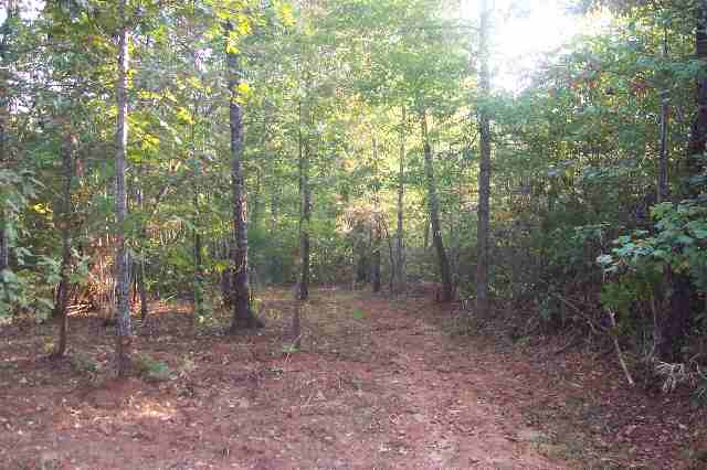 Lot 9 Falcons Nest Road Walhalla, SC 29691 - Photo 3 of 5 Gallery Image 3