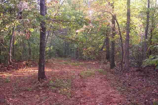Lot 9 Falcons Nest Road Walhalla, SC 29691 - Photo 4 of 5 Gallery Image 4