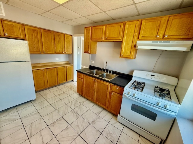 9213 South Laflin Street, Unit 3A Chicago, IL 60620 - Photo 2 of 8 a kitchen with a stove a sink and a refrigerator