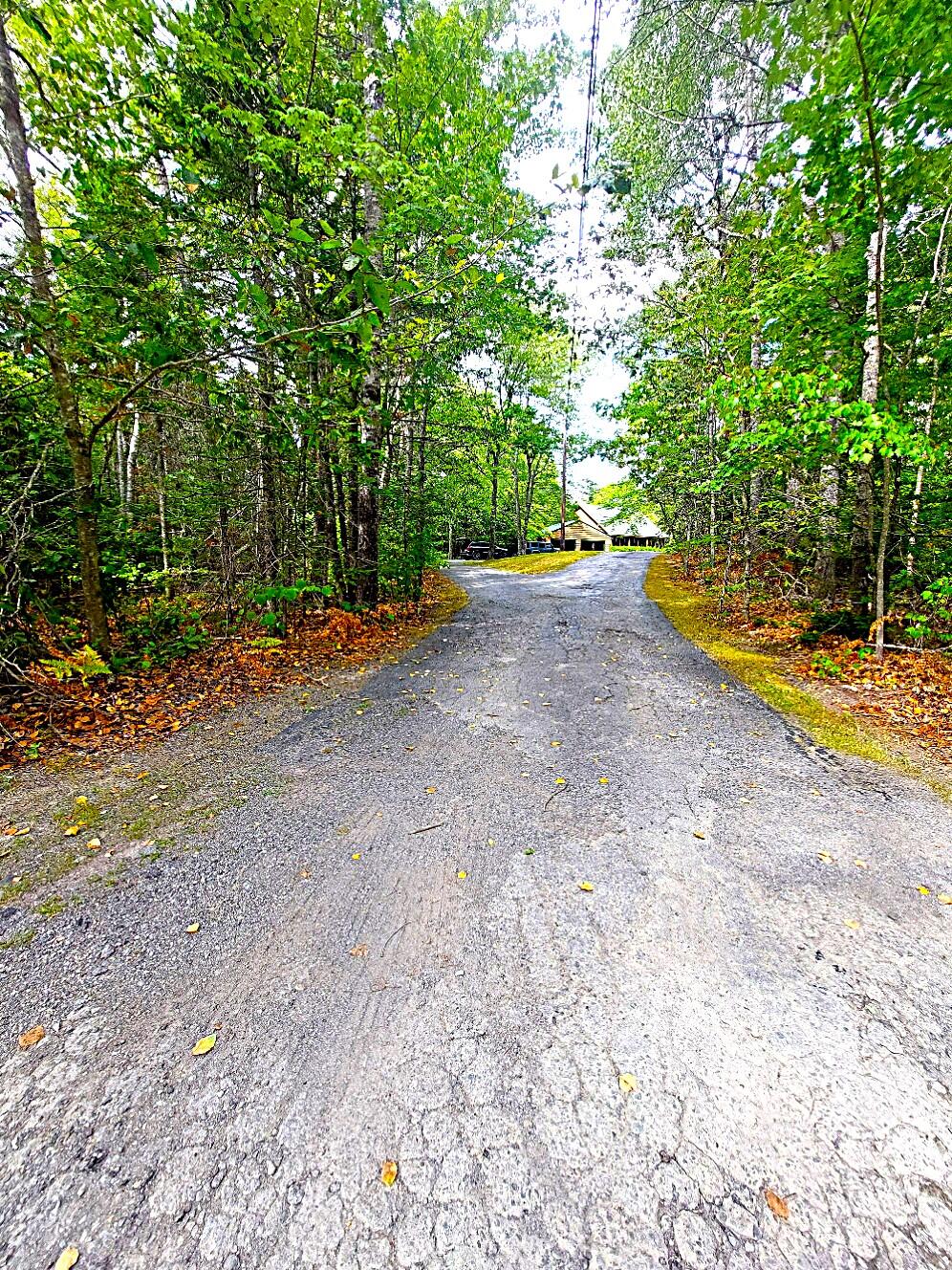 372 Forest Avenue Orono, ME 04473 - Photo 2 of 51 beginning of driveway edited