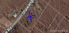 Shawanga Lodge Road Wurtsboro, NY 12721 - Photo 1 of 2 a view of pathway