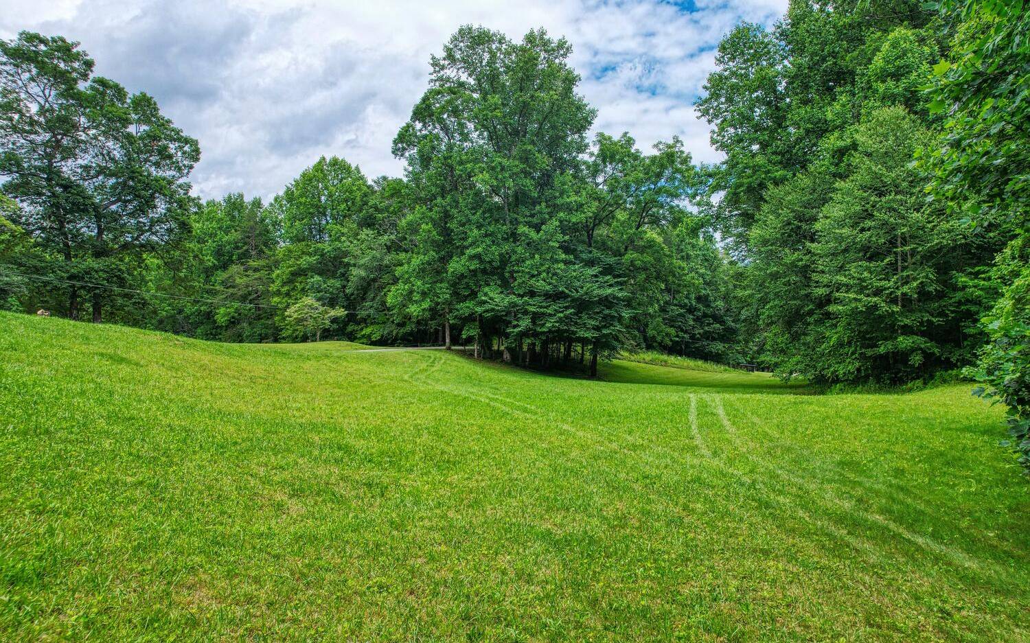 1666 Underwood Road Hiawassee, GA 30546 - Photo 34 of 42 a view of a grassy field with trees