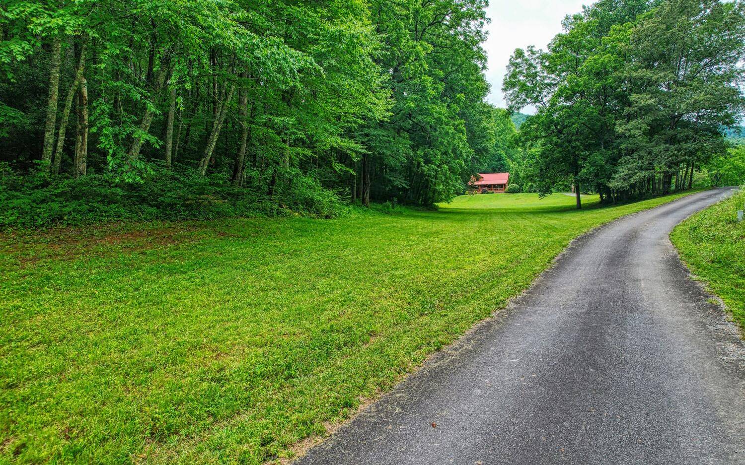 1666 Underwood Road Hiawassee, GA 30546 - Photo 35 of 42 a green field with lots of trees in the background