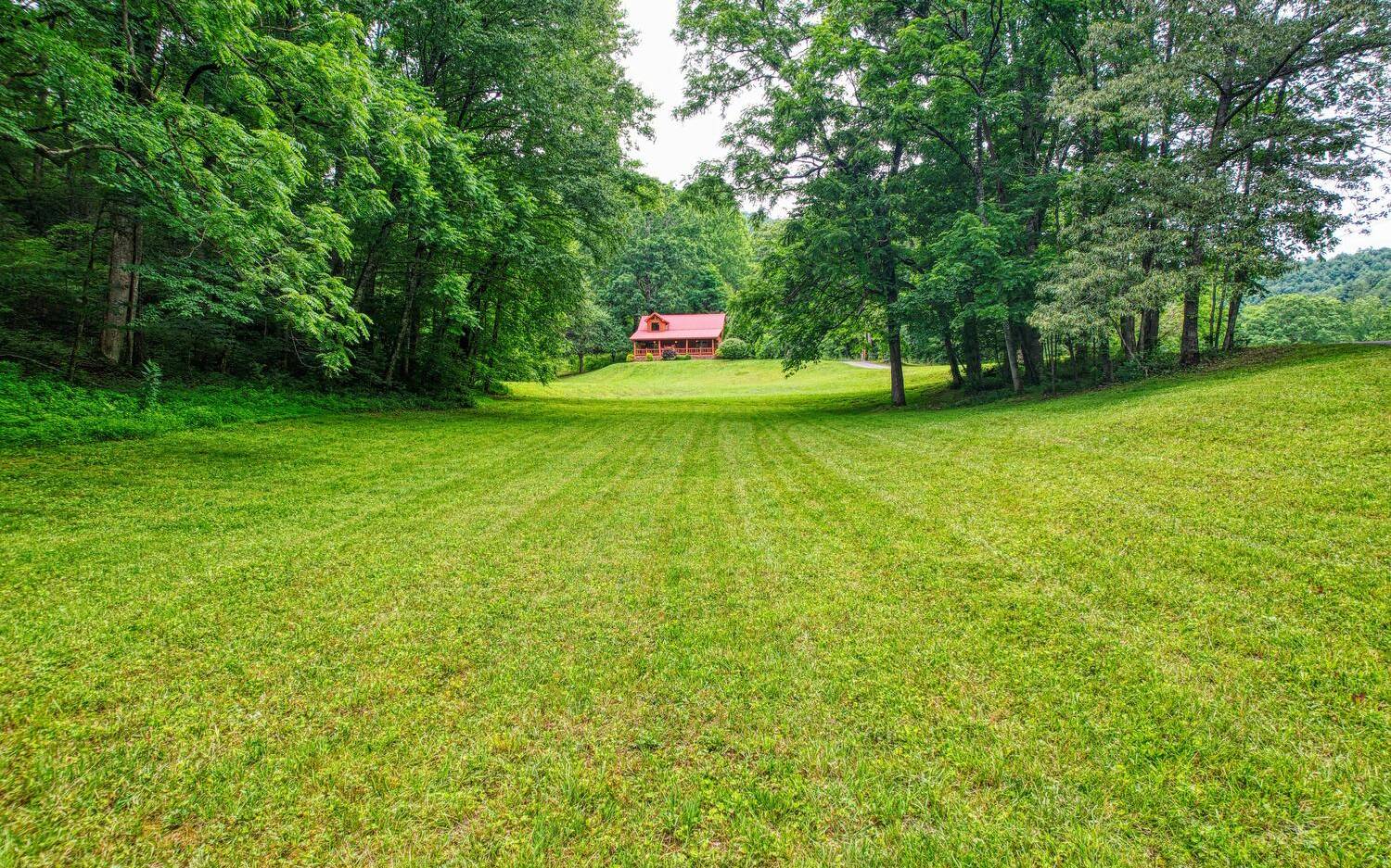 1666 Underwood Road Hiawassee, GA 30546 - Photo 36 of 42 a green field with lots of trees