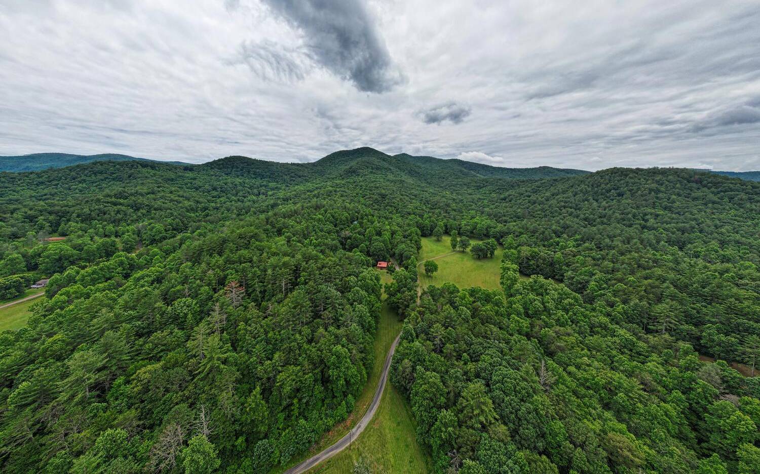 1666 Underwood Road Hiawassee, GA 30546 - Photo 37 of 42 a view of a green field with lots of bushes