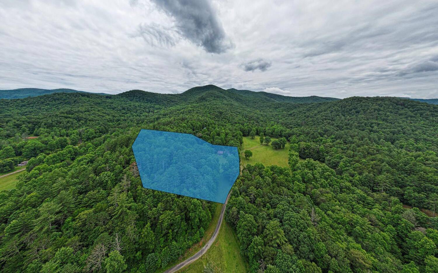 1666 Underwood Road Hiawassee, GA 30546 - Photo 38 of 42 a view of a green field with lots of bushes