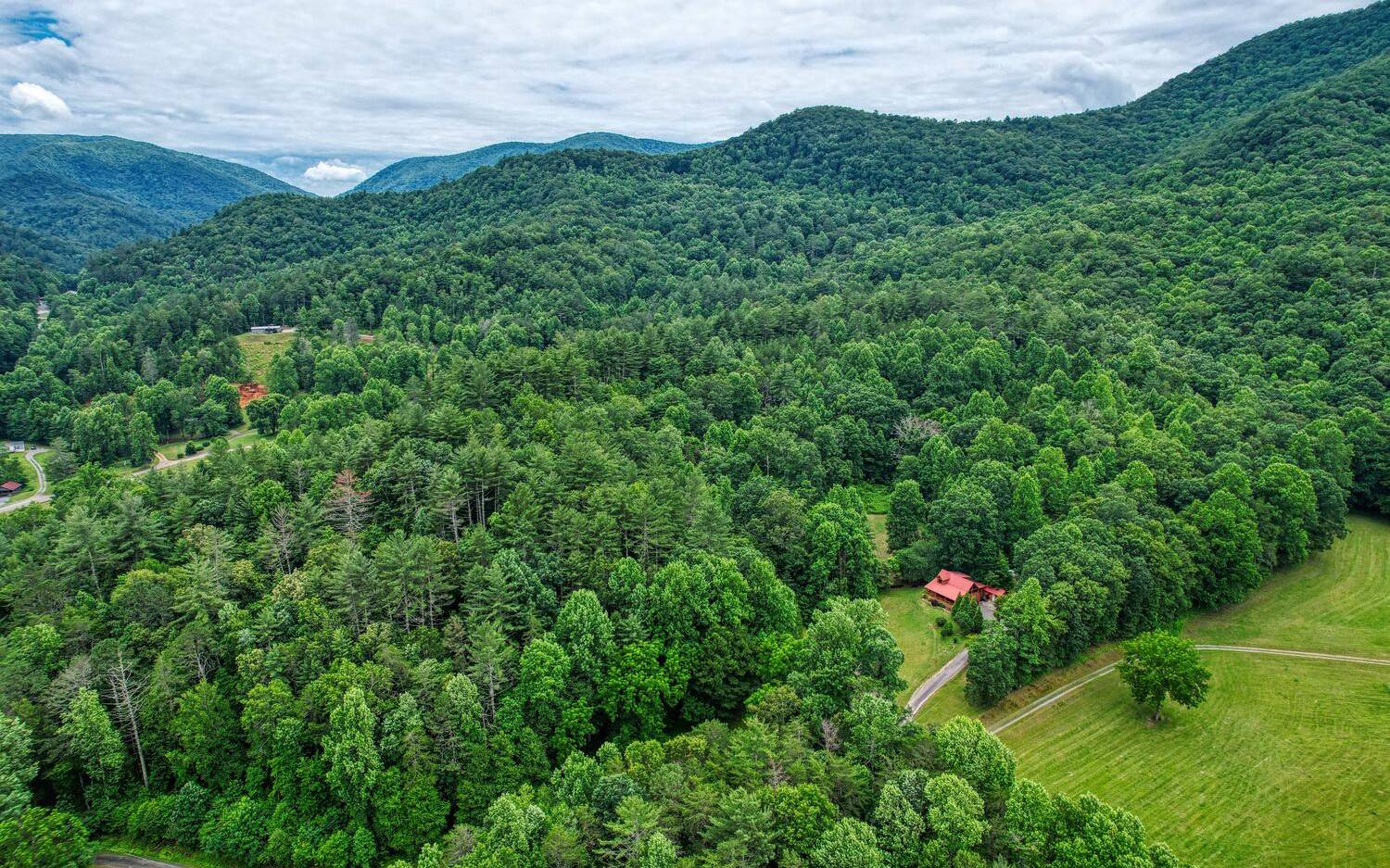 1666 Underwood Road Hiawassee, GA 30546 - Photo 39 of 42 a view of a field