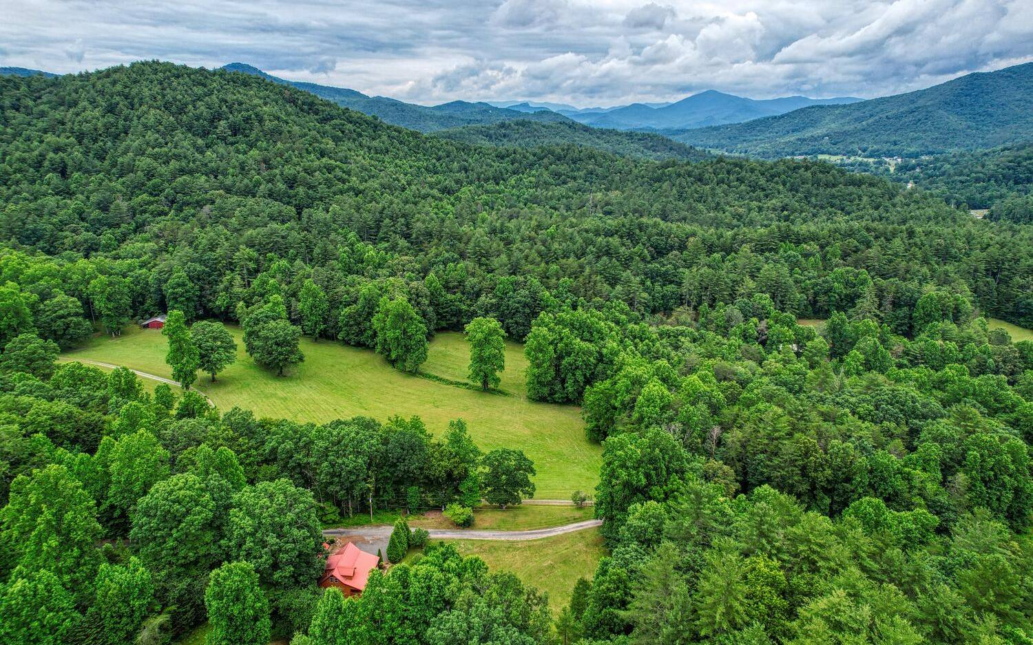 1666 Underwood Road Hiawassee, GA 30546 - Photo 40 of 42 a view of a garden with a building in the background