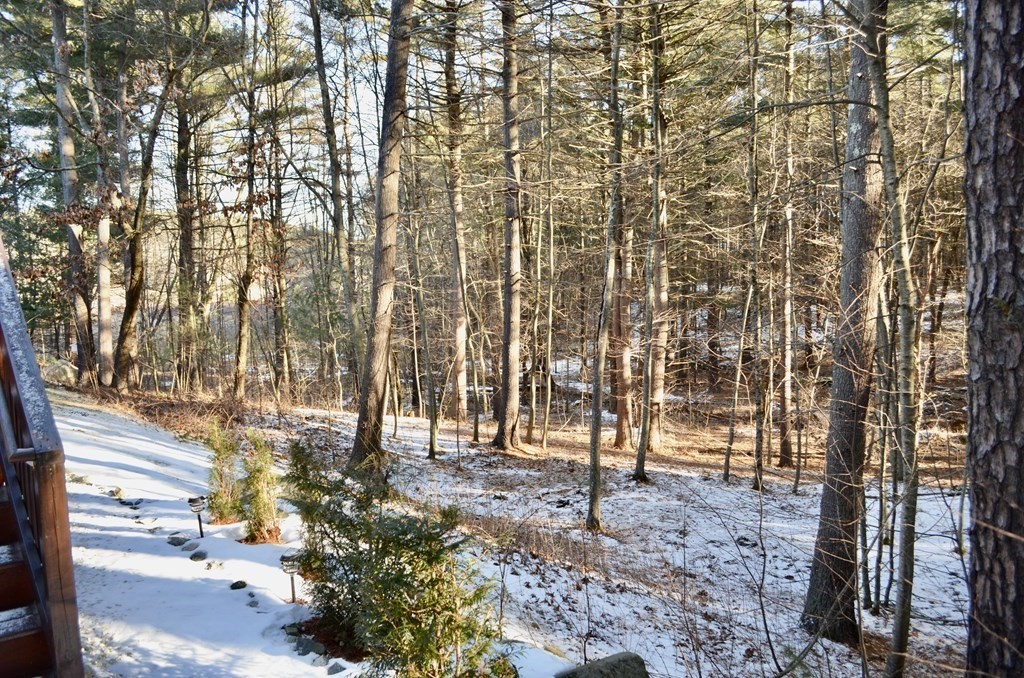 3 Trail Ridge Way, Unit D Harvard, MA 01451 - Photo 37 of 41 a view of yard