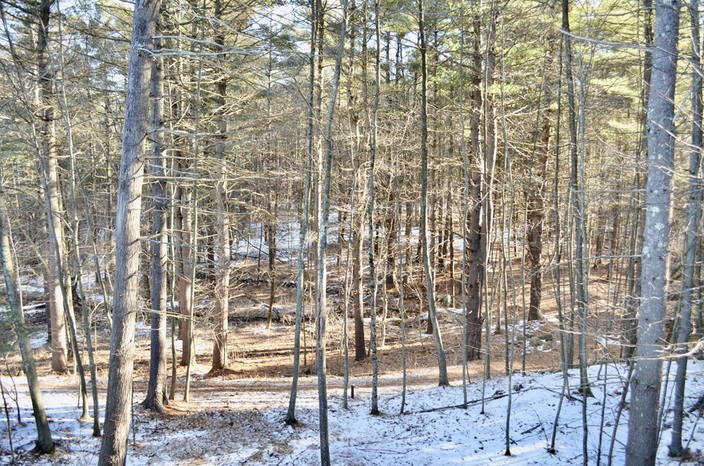 3 Trail Ridge Way, Unit D Harvard, MA 01451 - Photo 38 of 41 a bathroom with a shower
