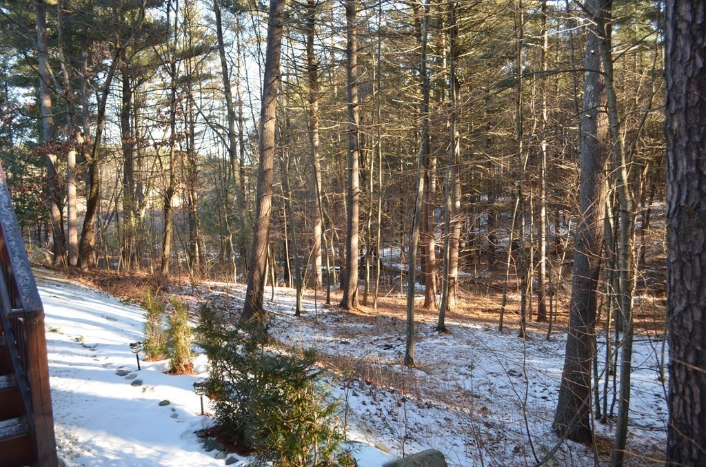 3 Trail Ridge Way, Unit D Harvard, MA 01451 - Photo 40 of 41 a view of outdoor space with lots of trees
