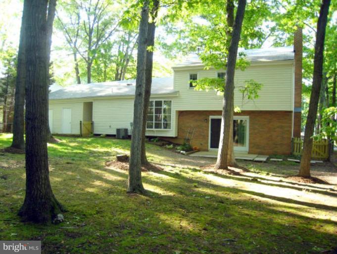 6149 Roxbury Avenue Springfield, VA 22152 - Photo 24 of 30 Exterior (Rear)