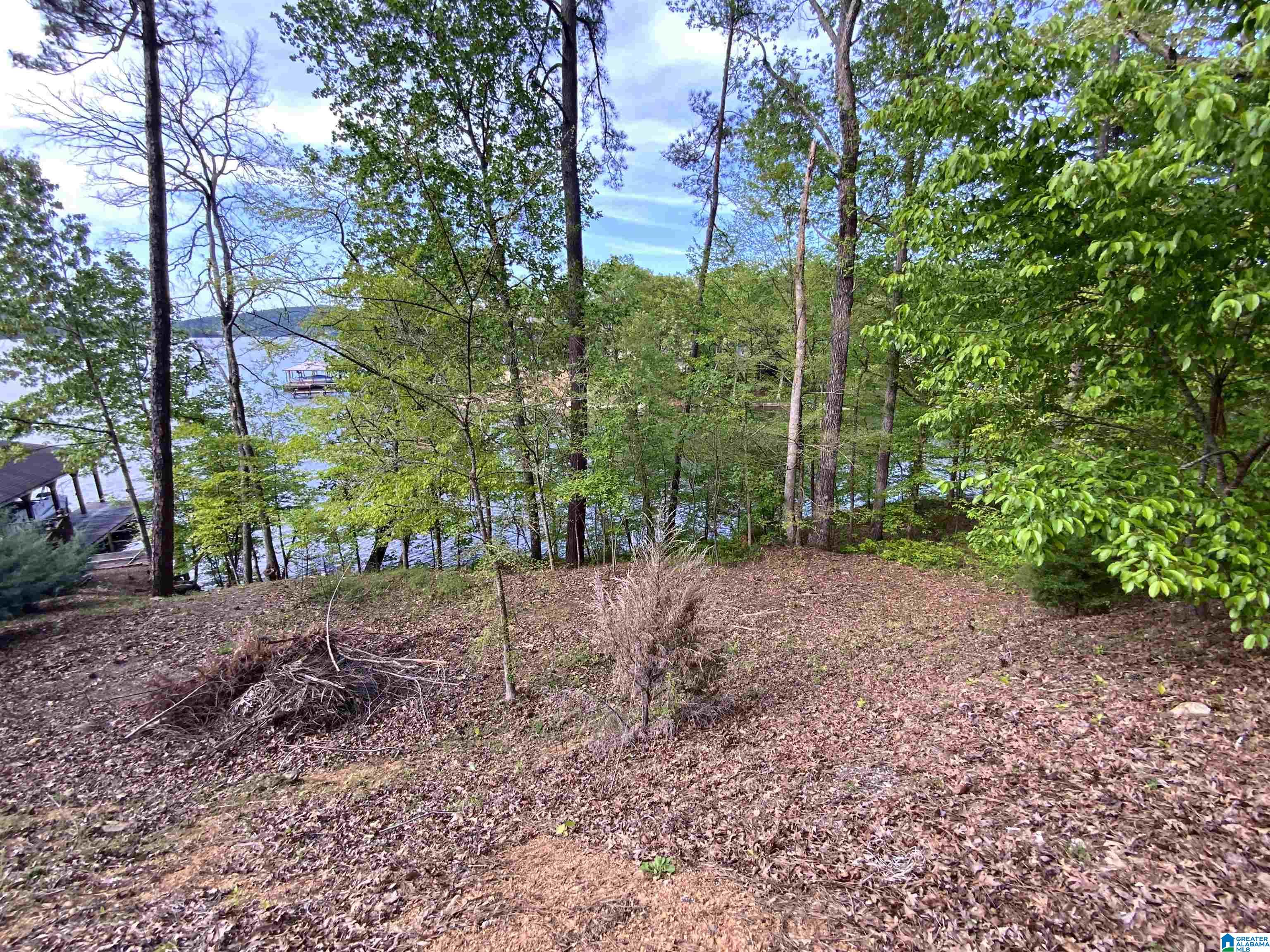102 Boulder Point Lane, Unit 6 & 7 Ohatchee, AL 36271 - Photo 18 of 42