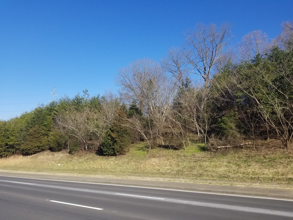 0 Center View Road Pigeon Forge, TN 37862 - Photo 14 of 19
