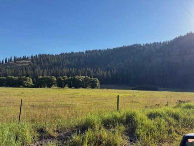 29-xx Red Marble Road Chewelah, WA 99109 - Photo 2 of 19