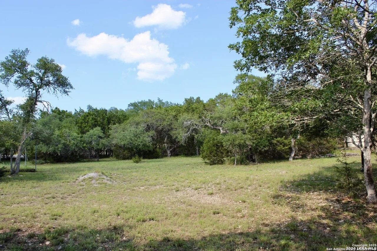 197 Rosenberry Bulverde, TX 78163 - Photo 11 of 11