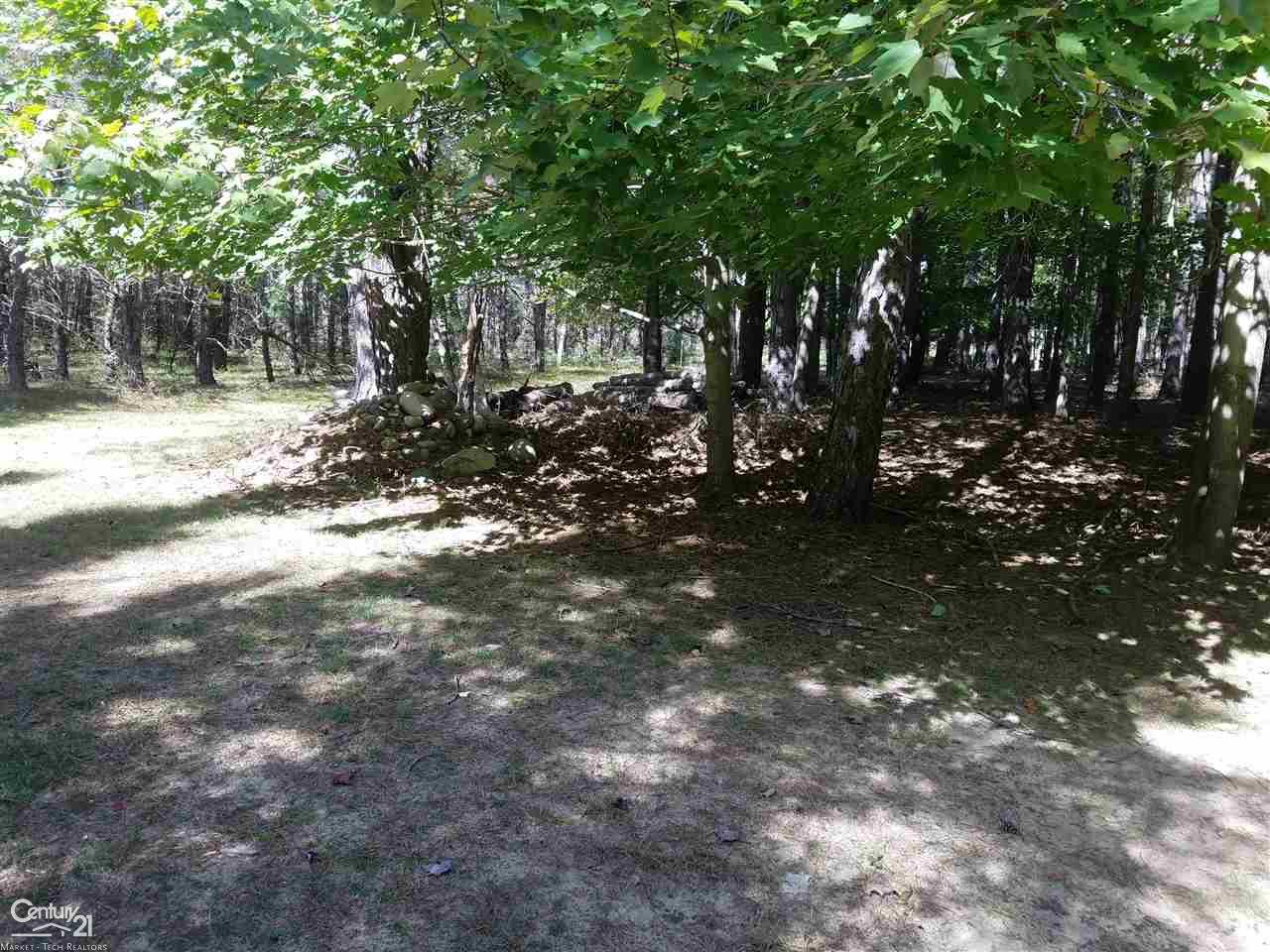 1390 West Youngs Road Gladwin, MI 48624 - Photo 9 of 75