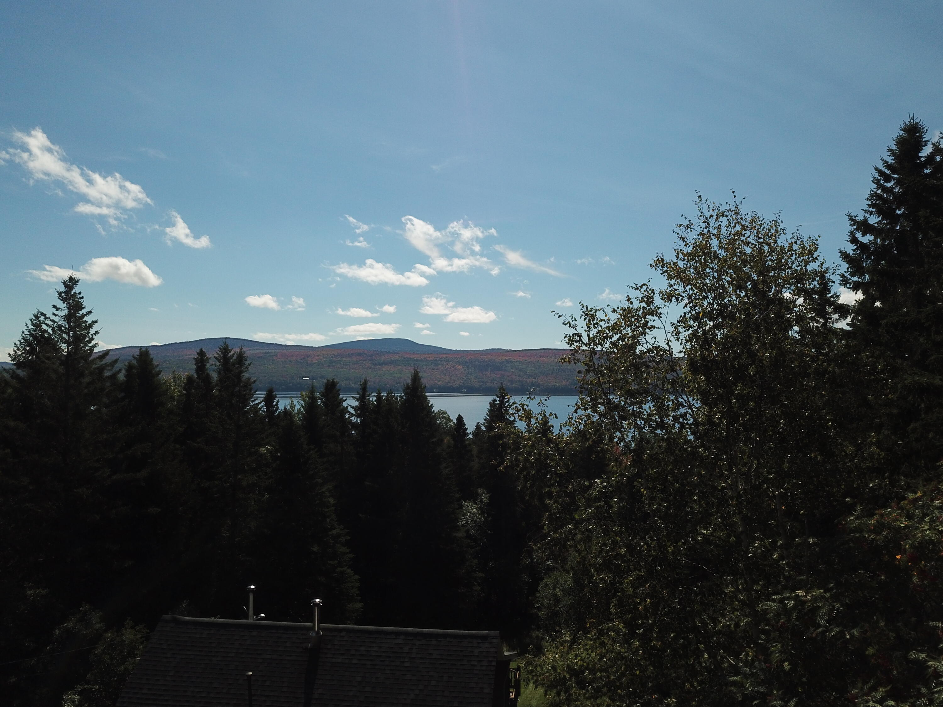 50 Furbish Road Rangeley, ME 04970 - Photo 36 of 37 view from house-trees