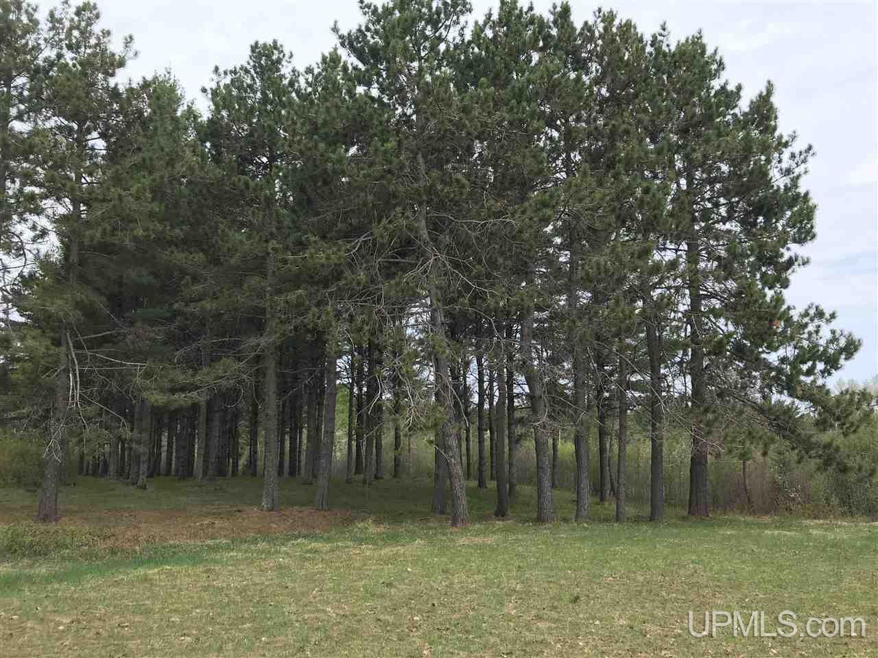 54892 Golf Course Road Calumet, MI 49913 - Photo 13 of 20
