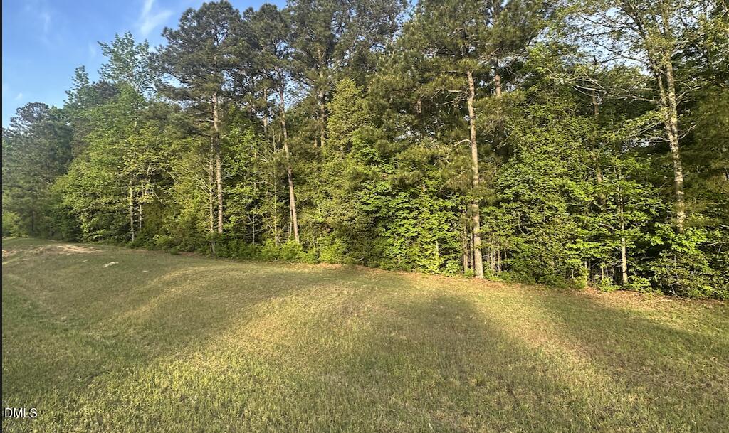 0 L L Cooper Road Cameron, NC 28326 - Photo 4 of 17 a view of a yard with large trees