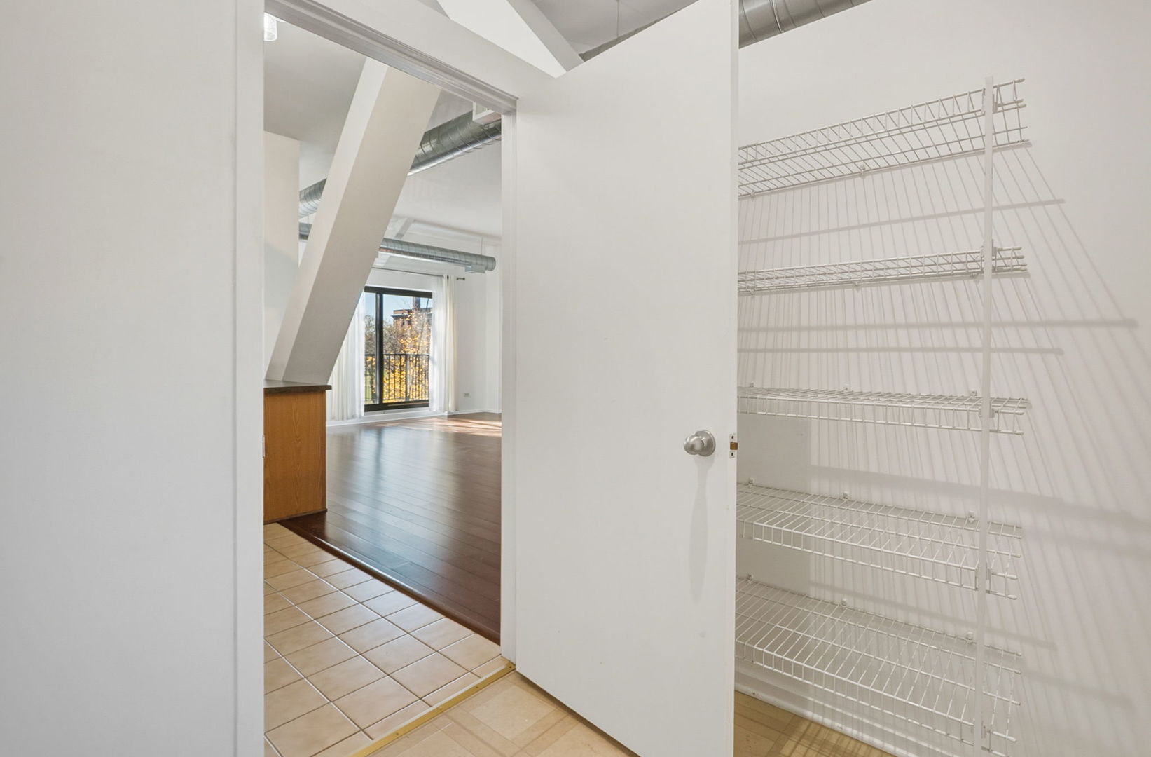 1000 East 53rd Street, Unit 219 Chicago, IL 60615 - Photo 21 of 29