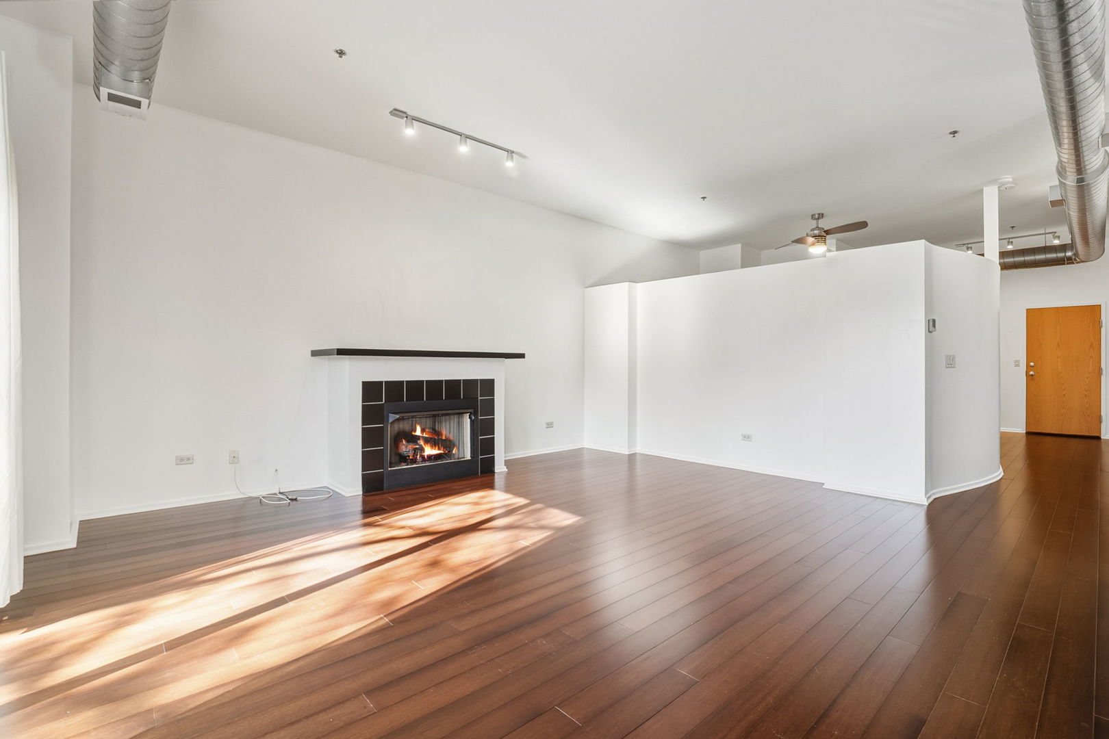 1000 East 53rd Street, Unit 219 Chicago, IL 60615 - Photo 4 of 29