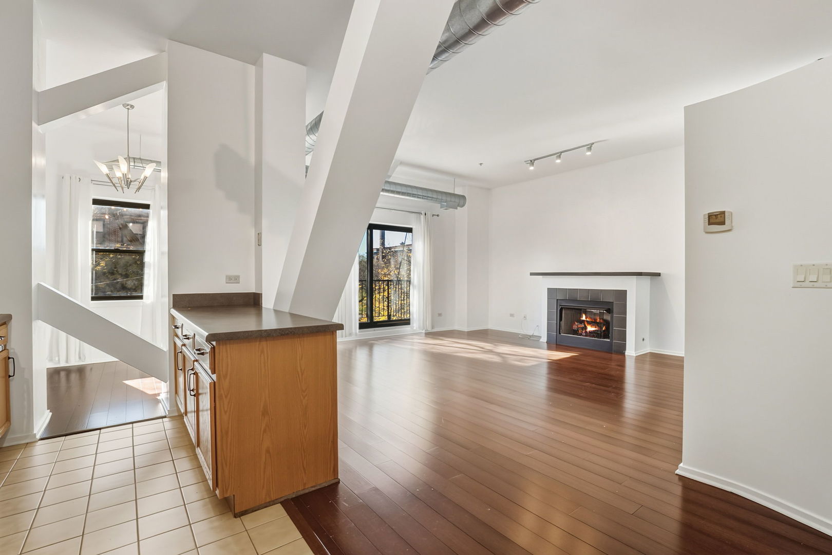 1000 East 53rd Street, Unit 219 Chicago, IL 60615 - Photo 9 of 29