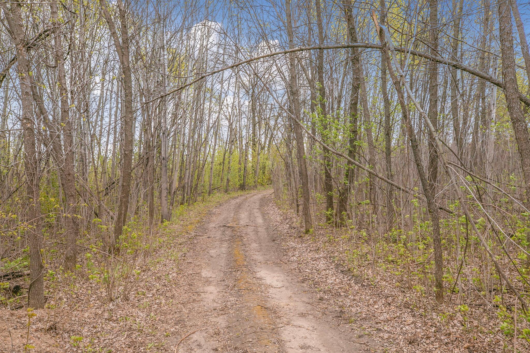 1850 Beauty Point Road Southwest Farwell, MN 56327 - Photo 85 of 101