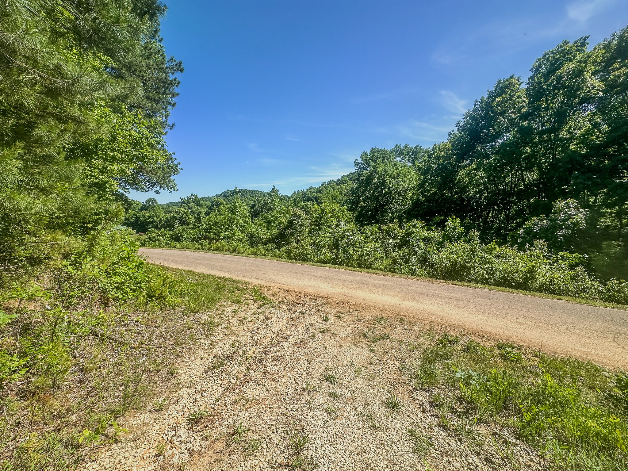 0 Mayberry Prong Road Linden, TN 37096 - Photo 14 of 24