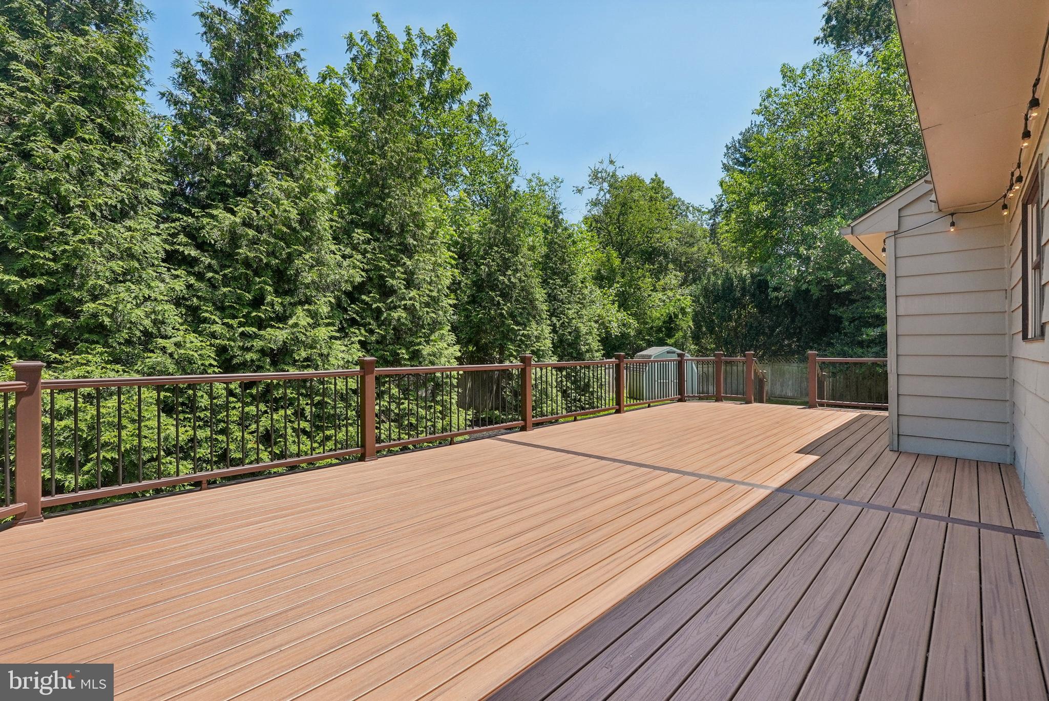 10 Rooftree Road Cherry Hill, NJ 08003 - Photo 53 of 58 Tall privacy hedges and shed.